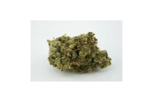 Produkte - Nimbus 26/1 ZRP