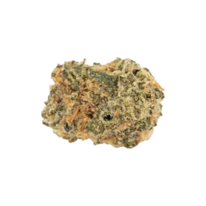 Produkte - enua 22/1 WCK CA