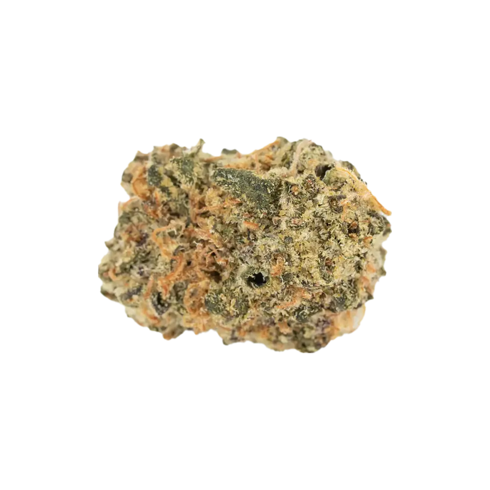 Produkte - enua 22/1 WCK CA