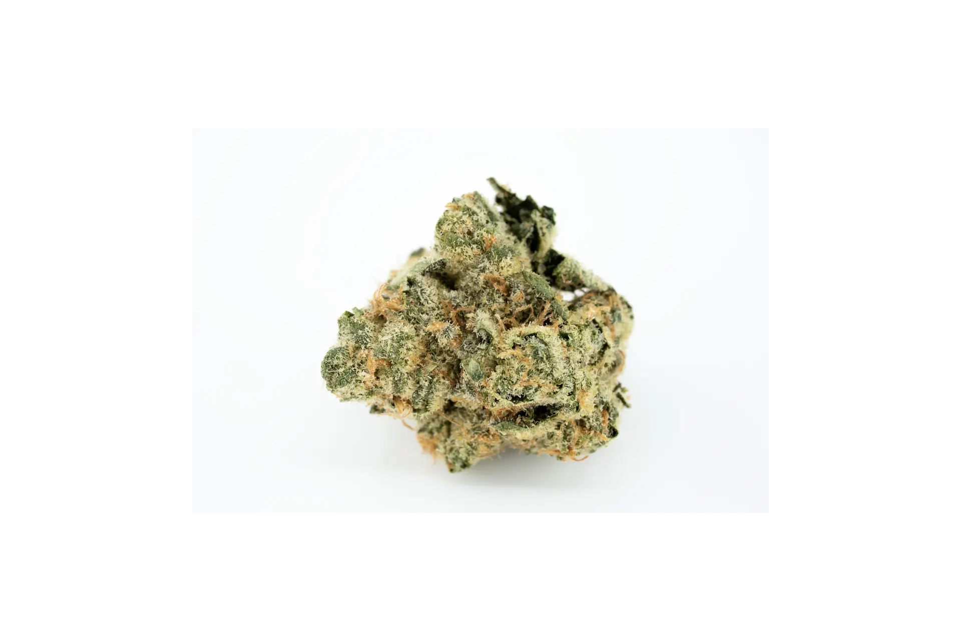 Produkte - 20/1 NICE MB