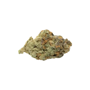Produkte - 26/1 NICE C