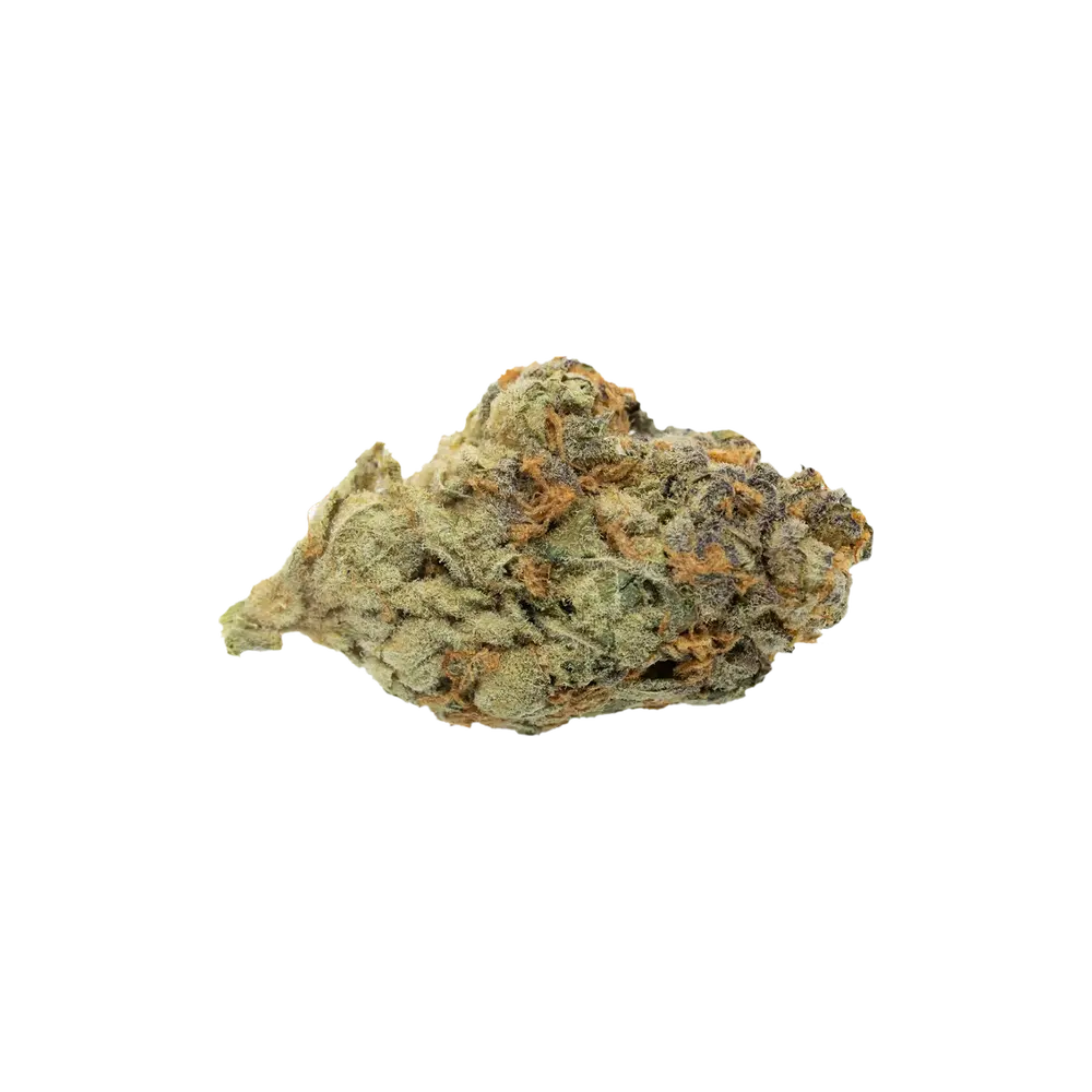 Produkte - 26/1 NICE C