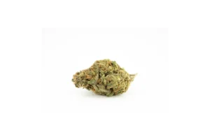 Produkte - Nimbus 24/1 GNC