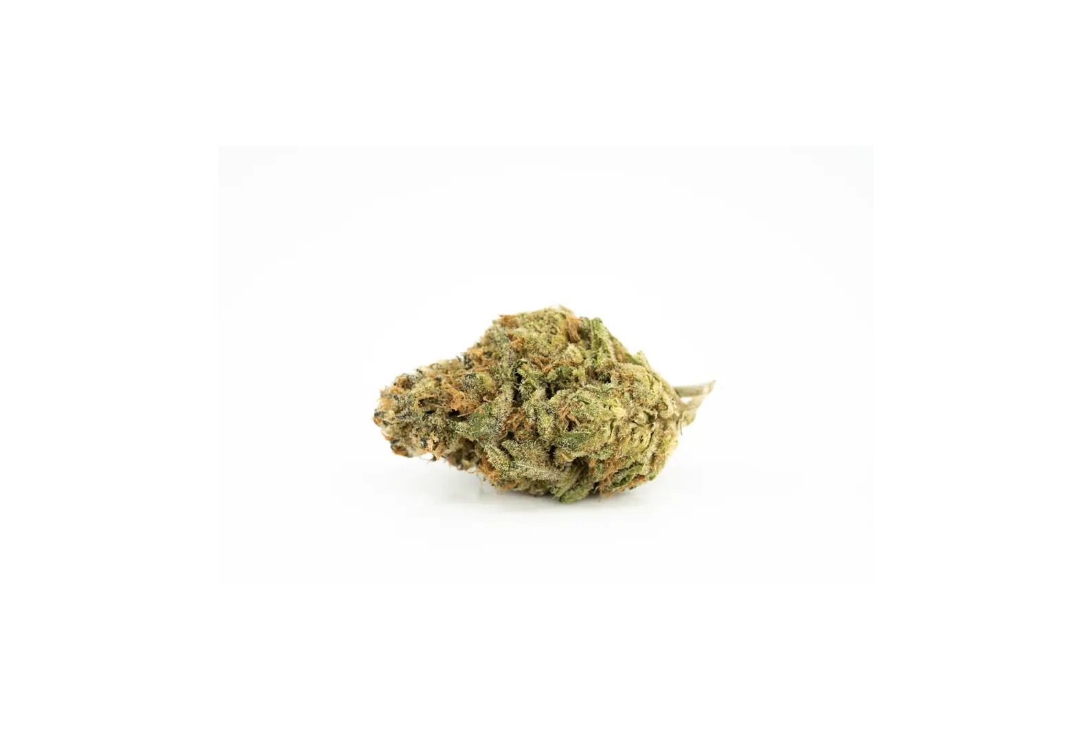 Produkte - Nimbus 24/1 GNC