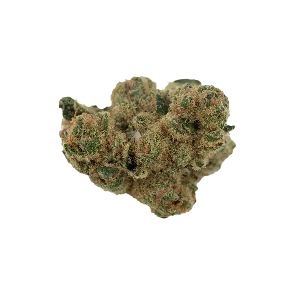 Produkte - Weeco Duke 24/1
