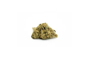 Produkte - CannabiStada 20/1