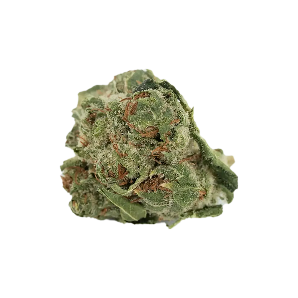 Produkte - Cannamedical Sativa forte