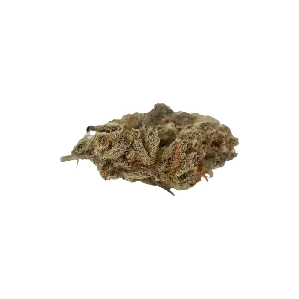 Produkte - CannabiStada WEM 25