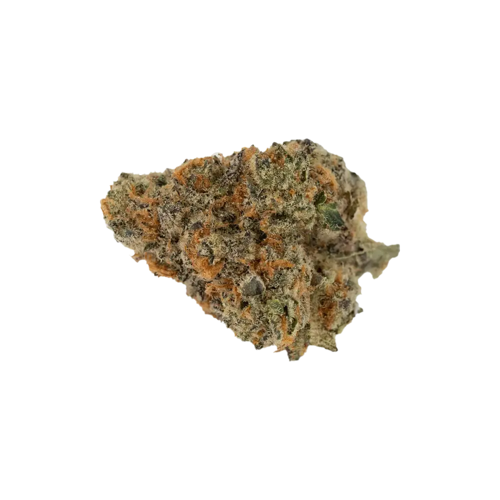 Produkte - Eufloria 30/1 SFR
