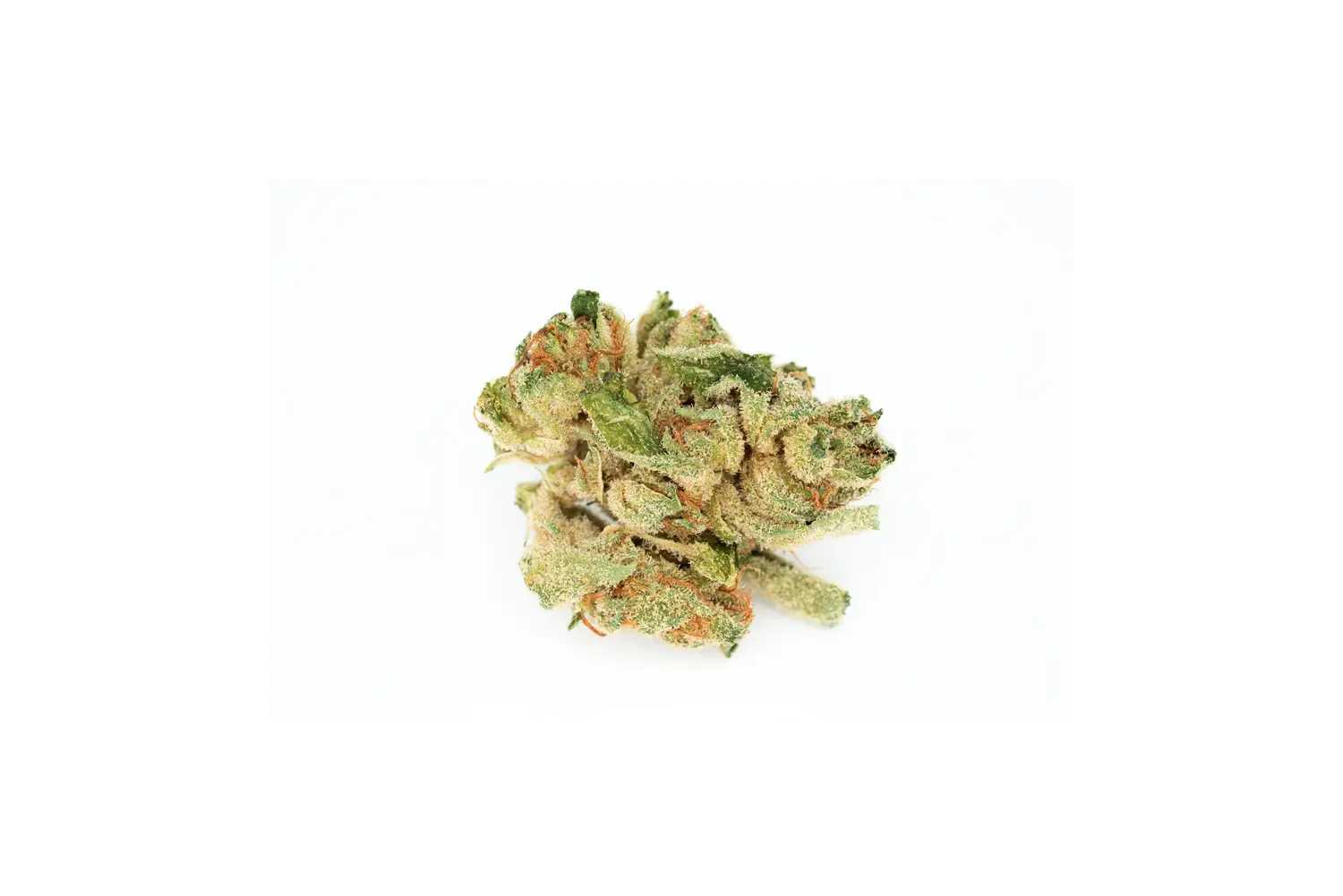 Produkte - Tilray THC18 Spotlight Porto 
