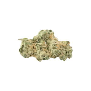 Produkte - 420 Evolution 27/1 CA GMO 