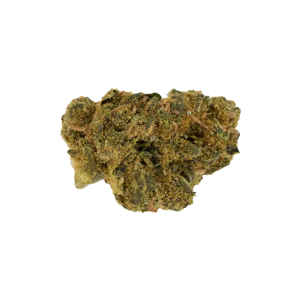 Produkte - MGF 26/1 DR