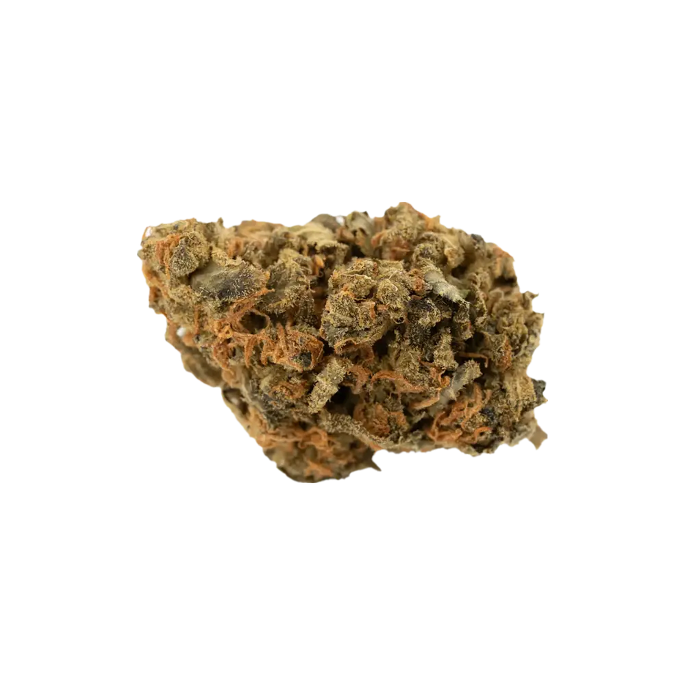 Produkte - CM 20/1 GG4