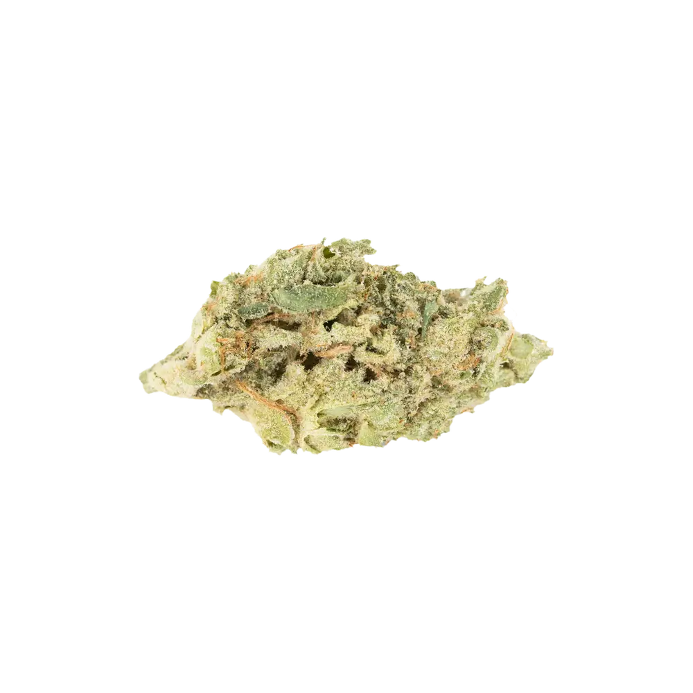 Produkte - enua 25/1 SBD CA