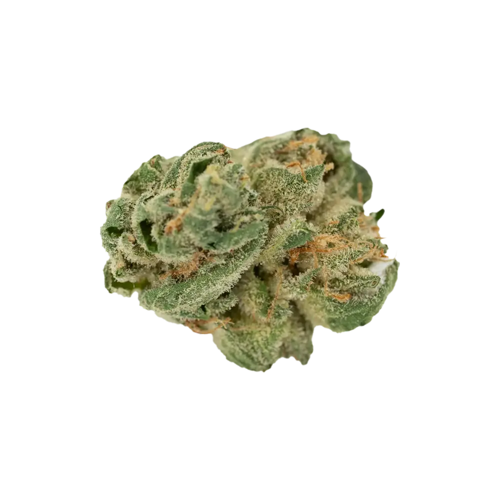 Produkte - Cannamedical Hybrid forte NG