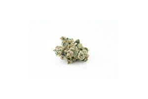 Produkte - 420 Evolution 30/1 CA TGP