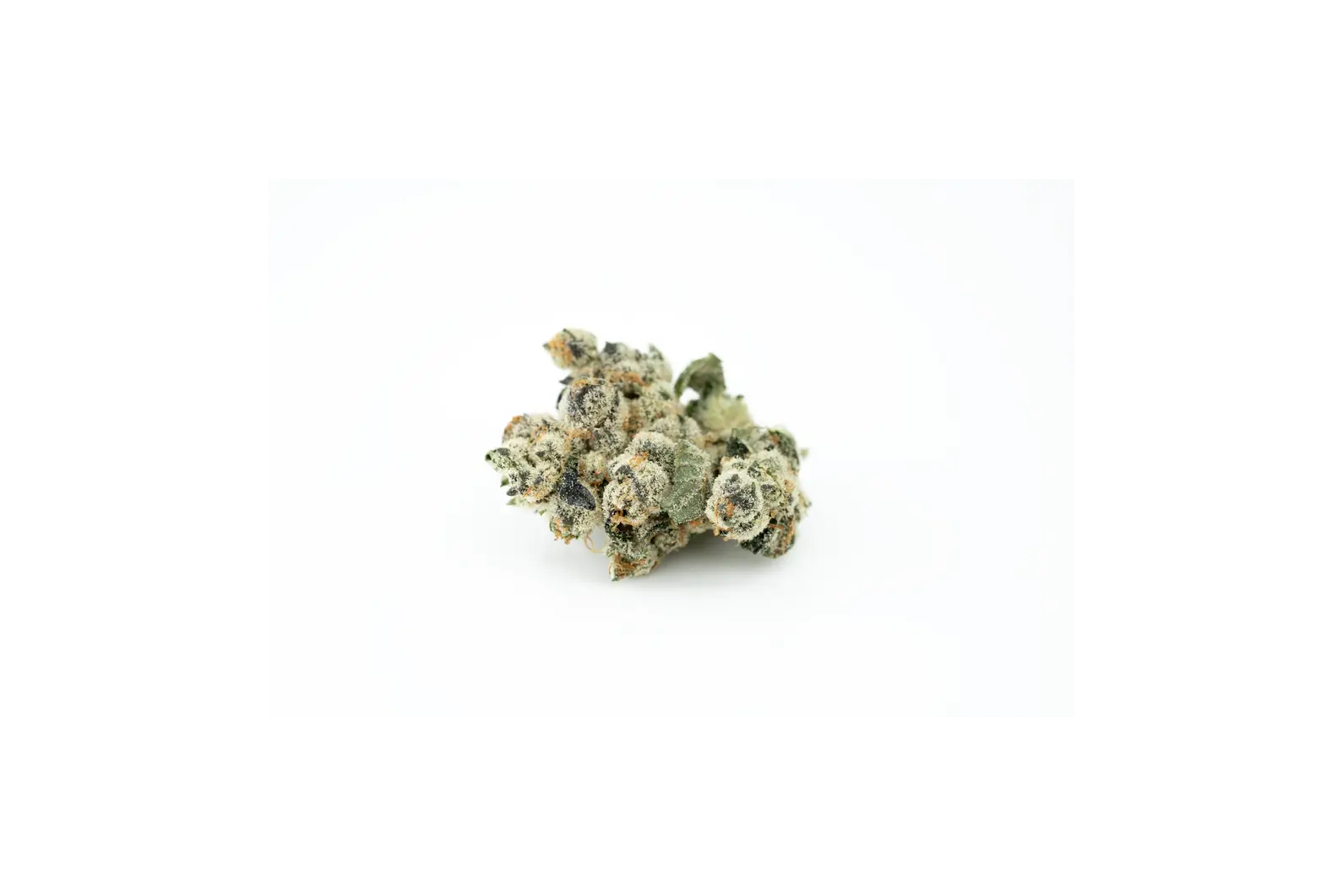Produkte - 420 Evolution 30/1 CA TGP
