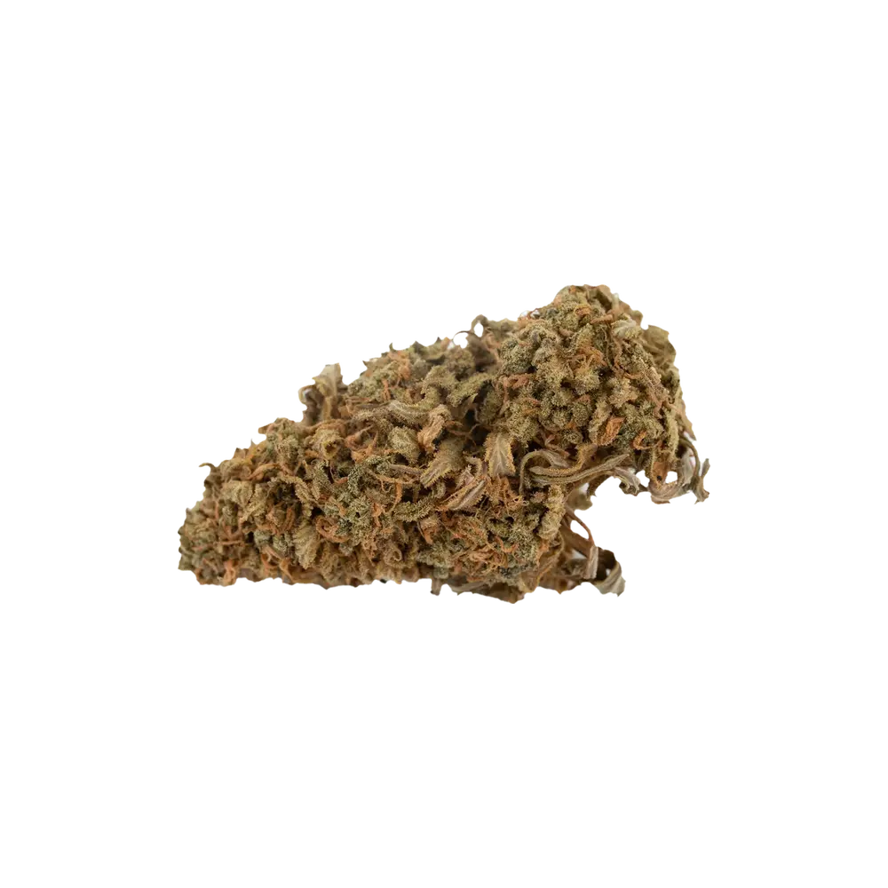 Produkte - Cannamedical Sativa classic NM