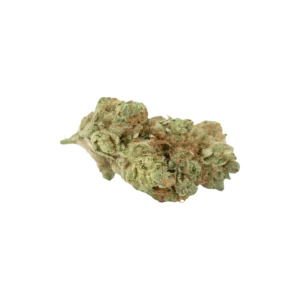Produkte - 33/1 The BC Green TCK