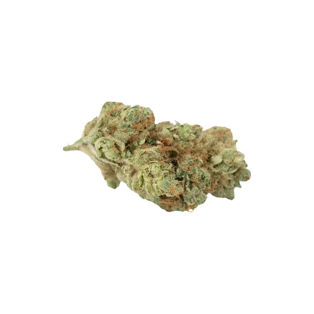 Produkte - 33/1 The BC Green TCK