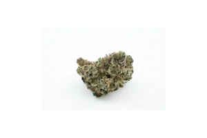 Produkte - Botanics Purple Cream 22/1