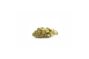 Produkte - CannabiStada 17/1 