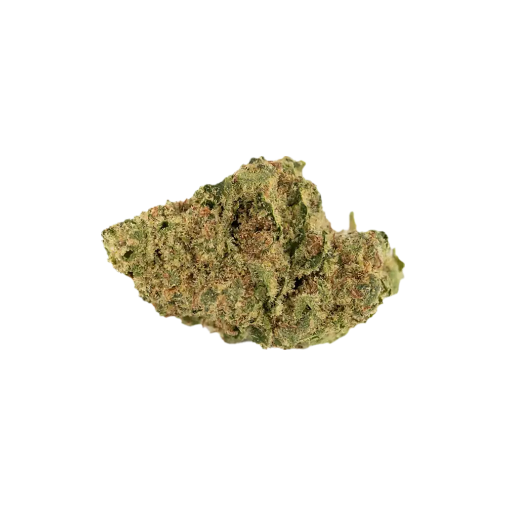 Produkte - avaay simple 20/1 TNG