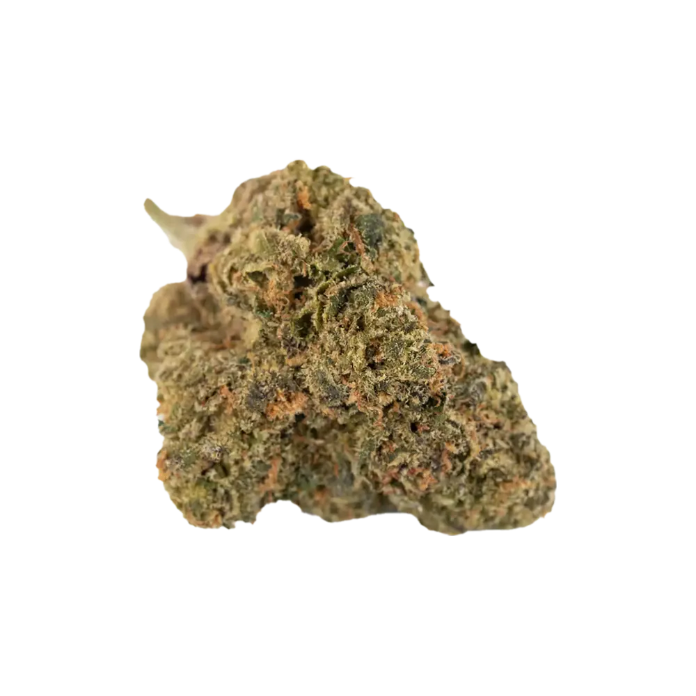 Produkte - Green Karat MG 31/1