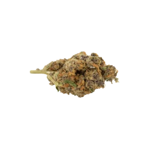 Produkte - Pedanios 18/1 TNG-CA