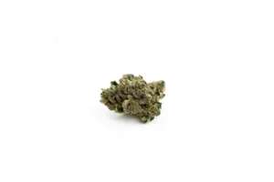 Produkte - Navcora THC22 Spotlight Porto
