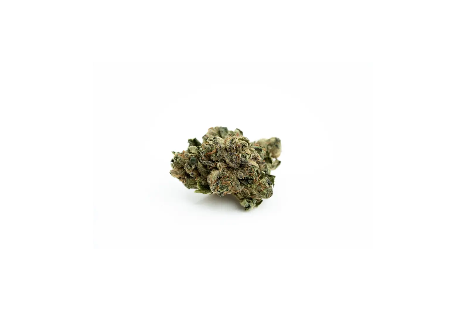 Produkte - Navcora THC22 Spotlight Porto