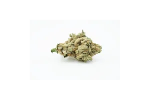 Produkte - Tilray THC25 Spotlight Porto
