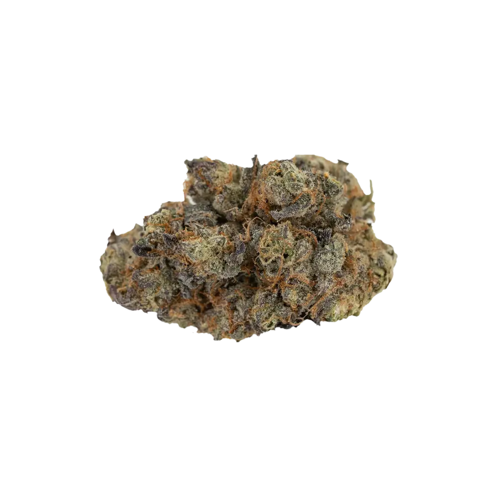 Produkte - CM 24/1 PG