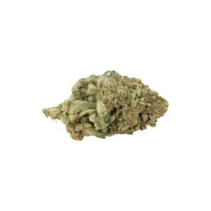 Produkte - Sibanax Hybrid MCF 23/1