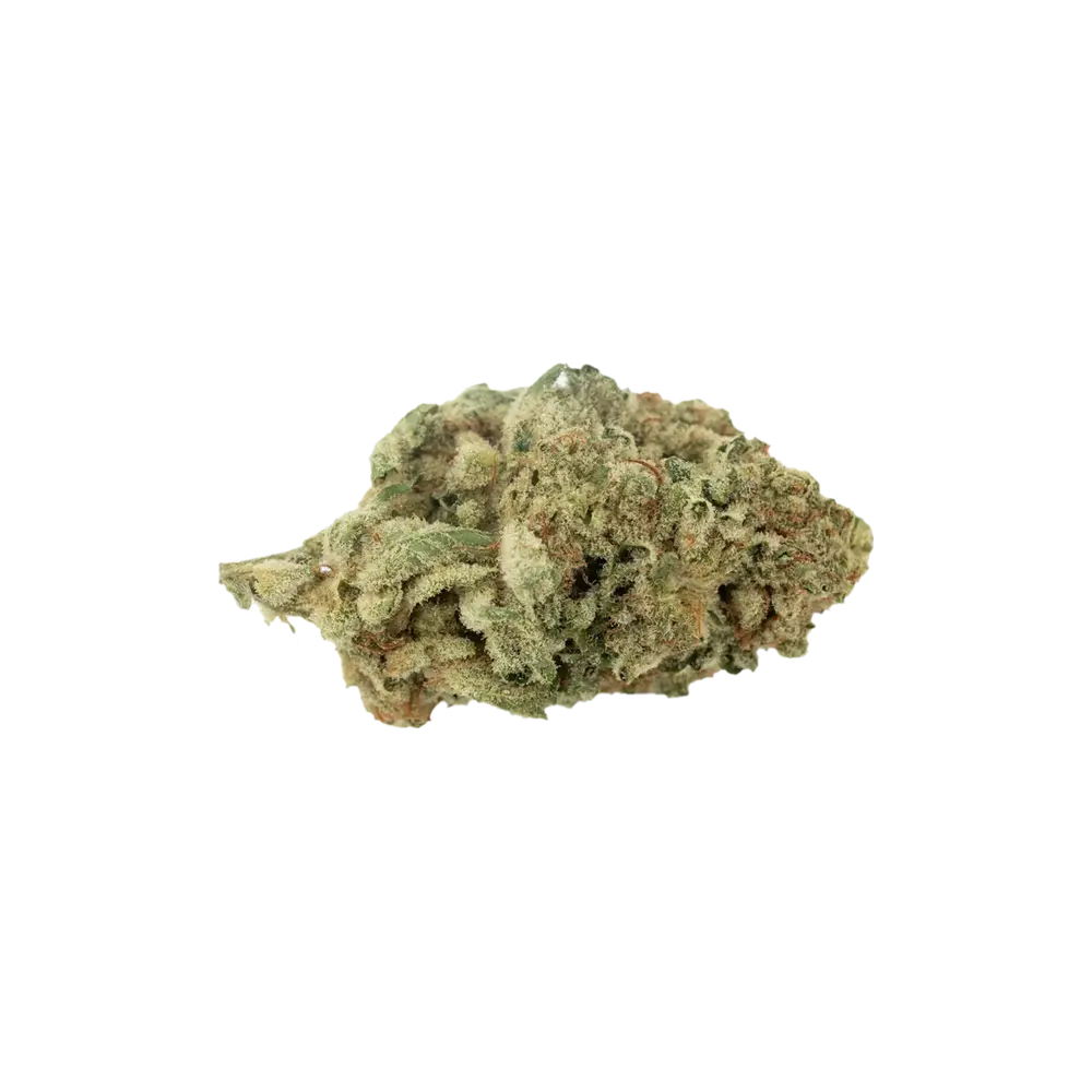 Produkte - Sibanax Hybrid MCF 20/1