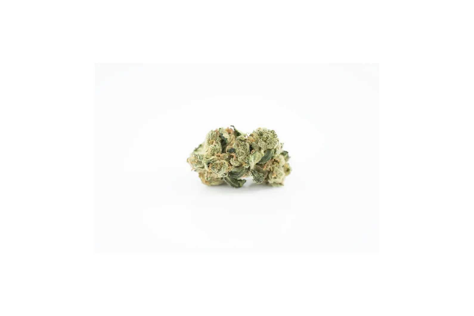 Produkte - Tilray THC22 Spotlight Porto