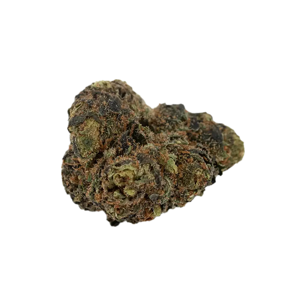 Produkte - Cannamedical Sunshine Coast