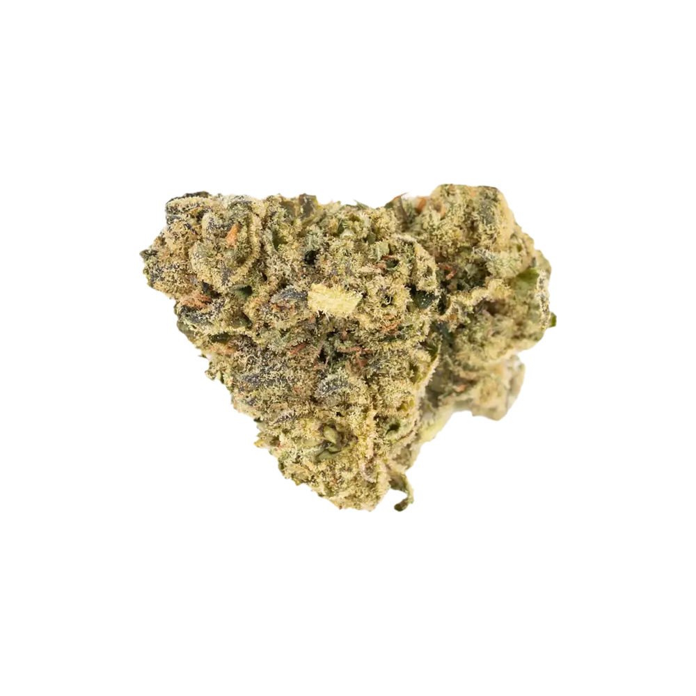 Produkte - IMC GO THC23 