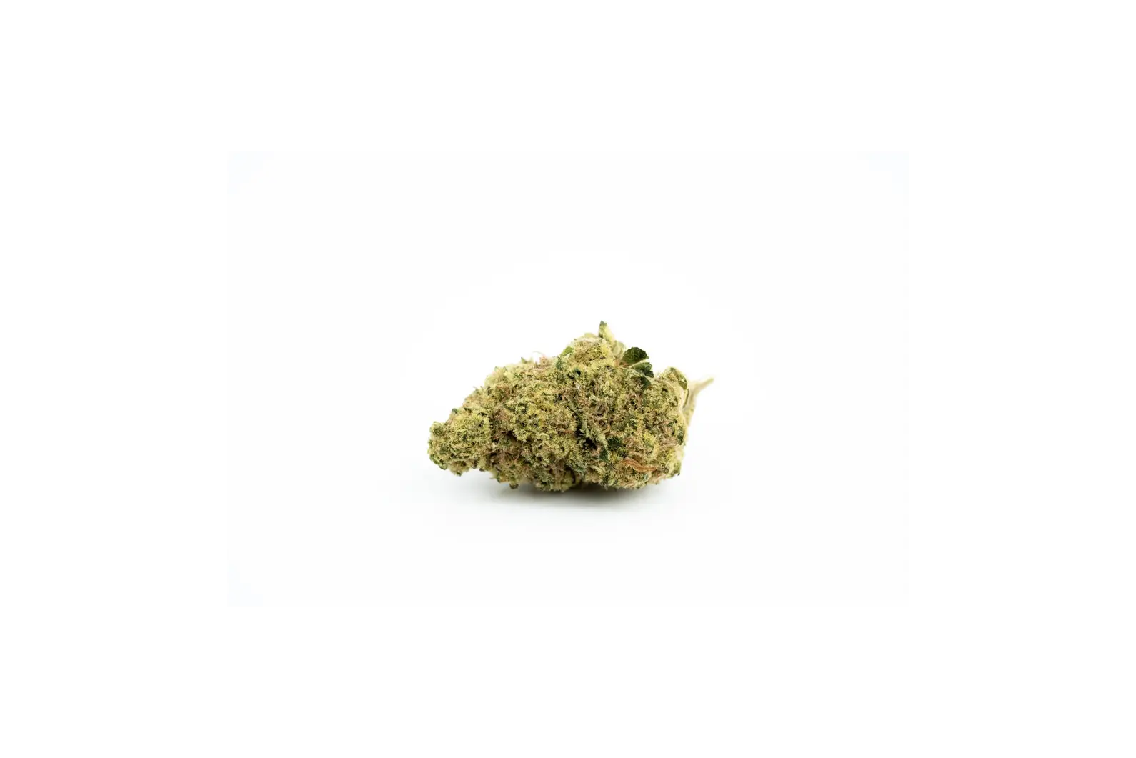 Produkte - AVAAY 18/1 BBH