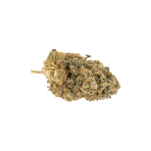 Produkte - 420 Evolution 30/1 CA FLM 