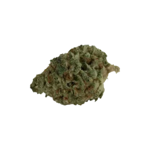 Produkte - Adrex 24/1 CAN Gorilla Glue 4 