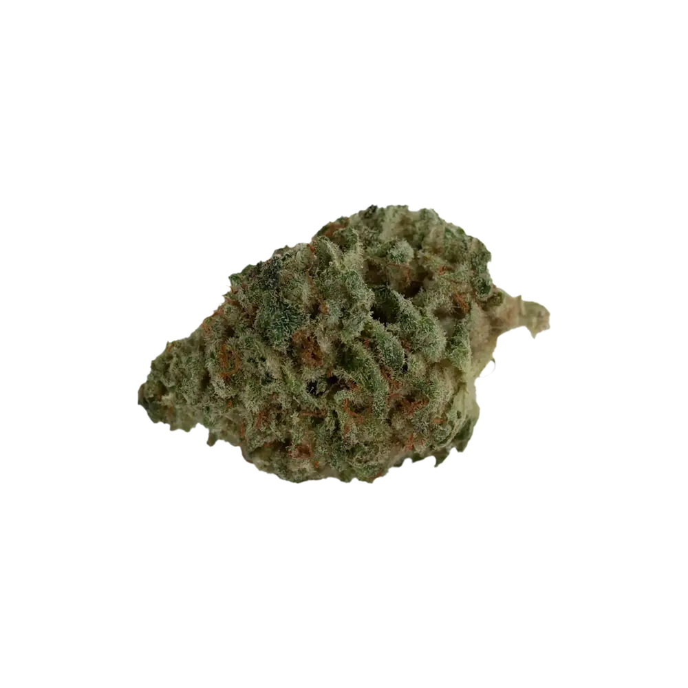 Produkte - Adrex 24/1 CAN Gorilla Glue 4 