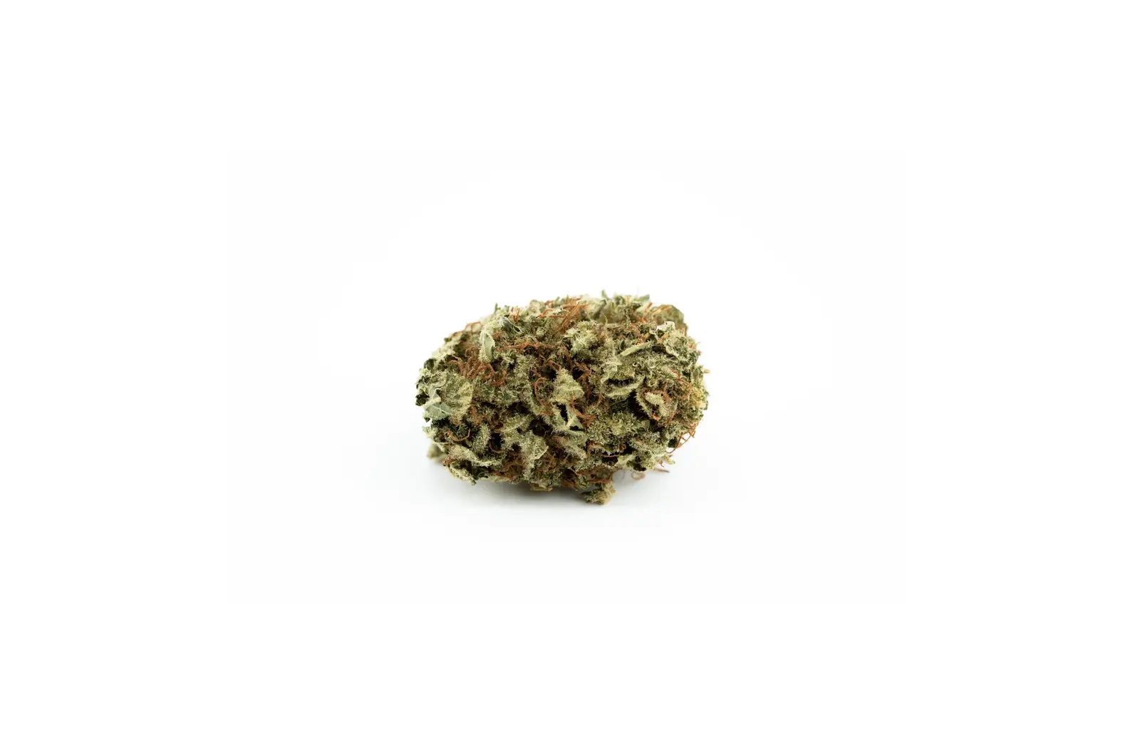 Produkte - Cookies 24/1 BL