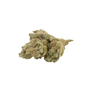 Produkte - Nimbus EASY 22/1