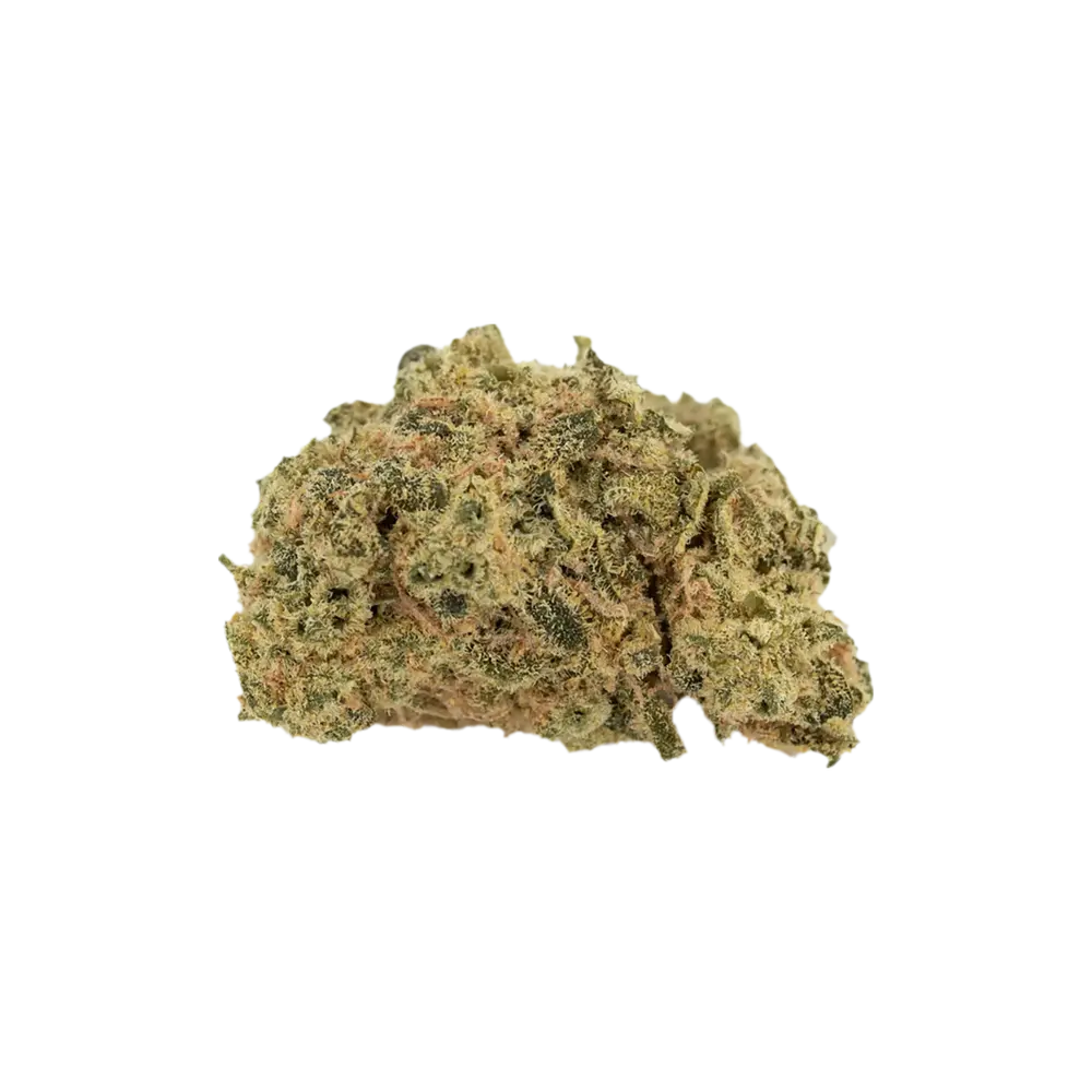 Produkte - AVAAY 20/1 RG