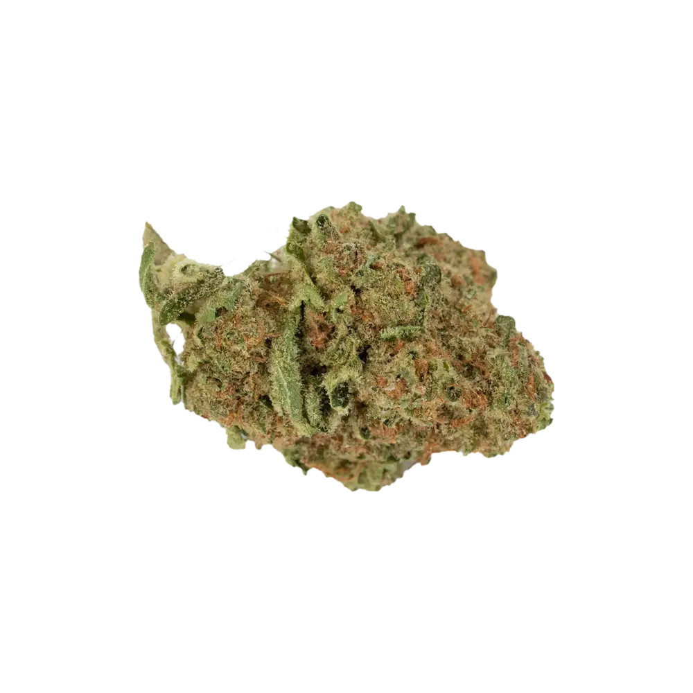 Produkte - madrecan 18/1 GDY