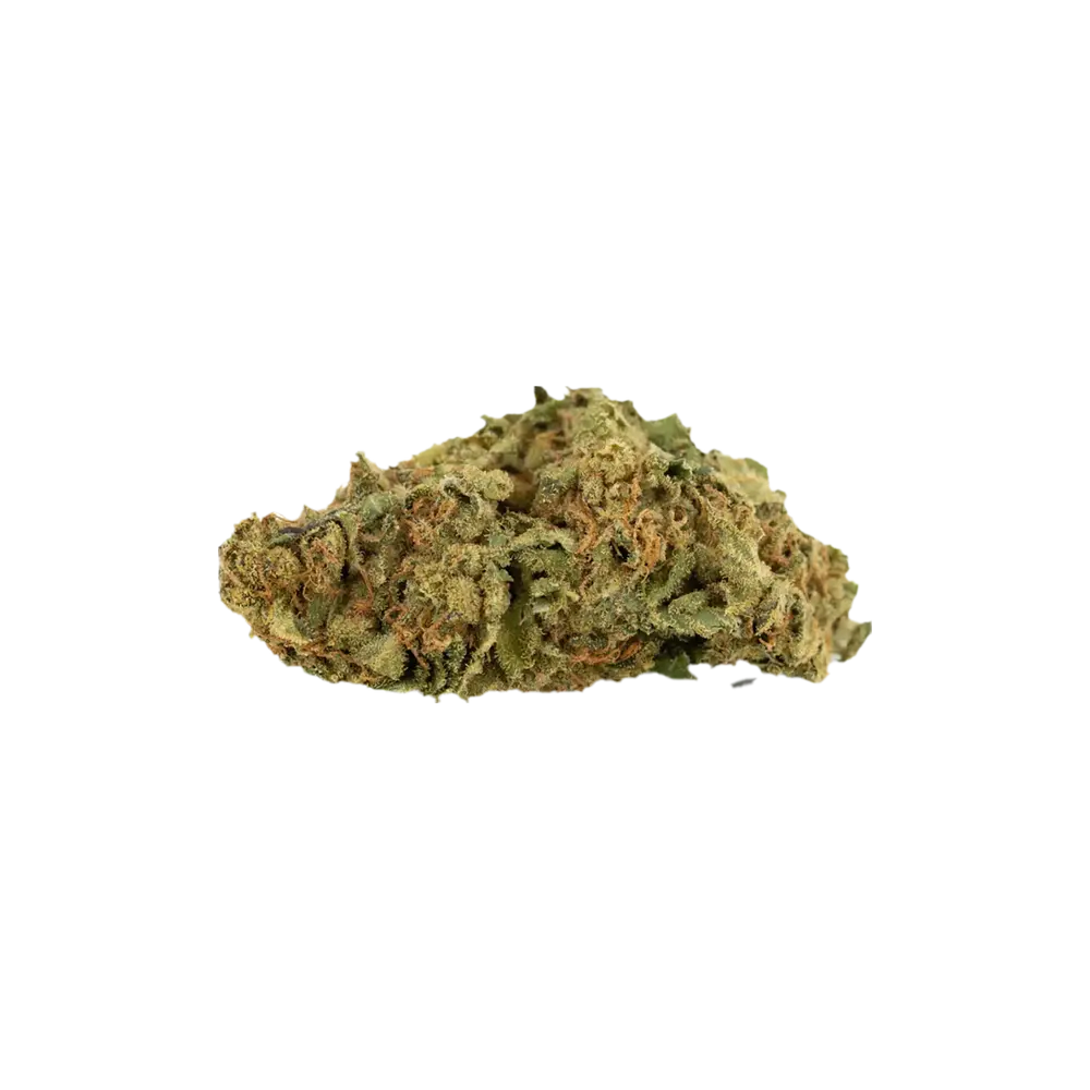 Produkte - BG 18 KRK Day COL