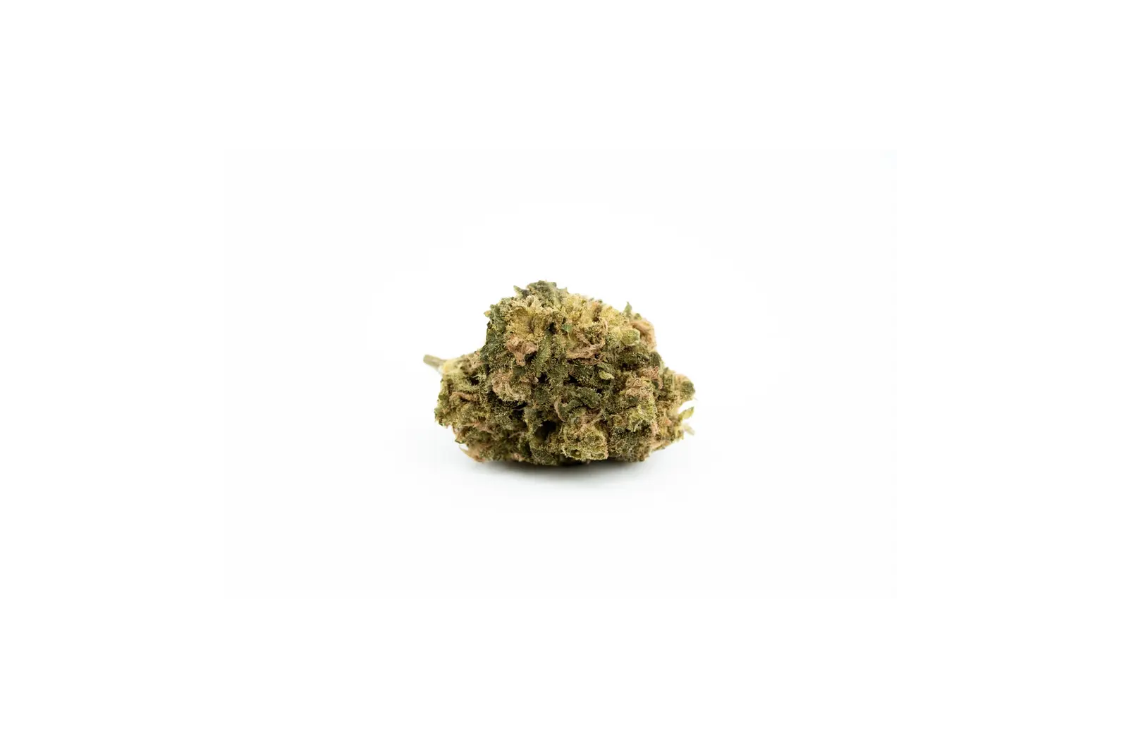 Produkte - CannabiStada 14/1