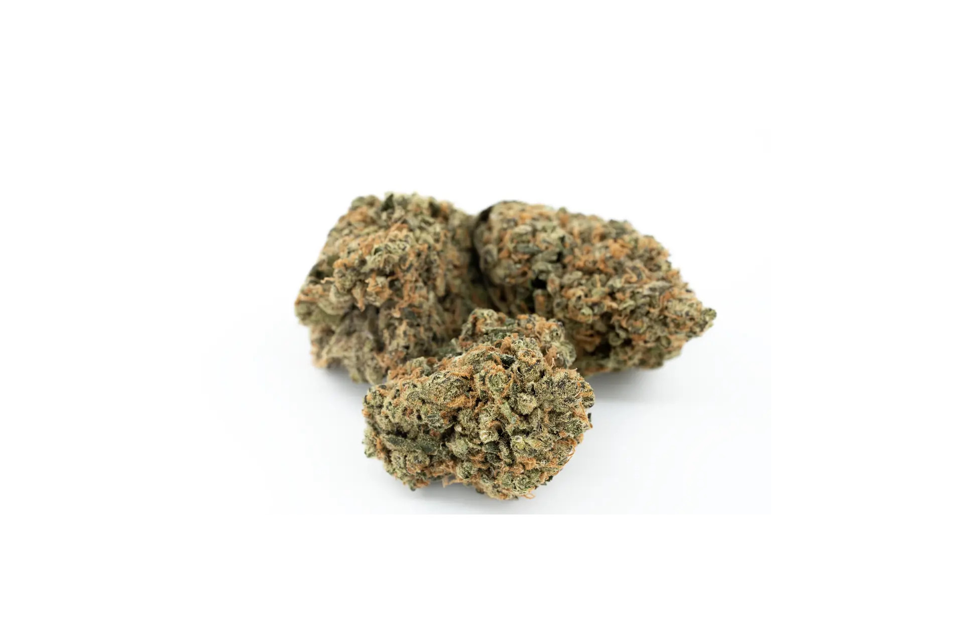 Produkte - AVAAY Signature 7/11 GCO