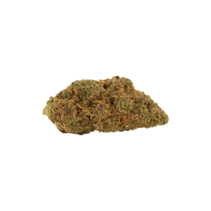 Produkte - BG MI